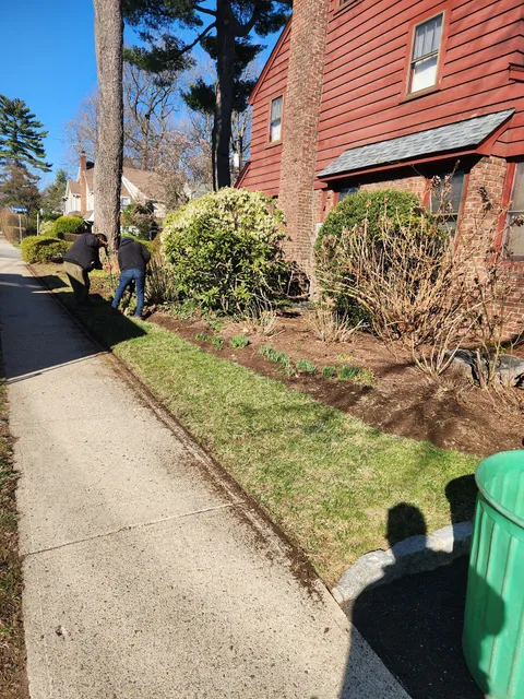 Angelo's Landscaping Contractor