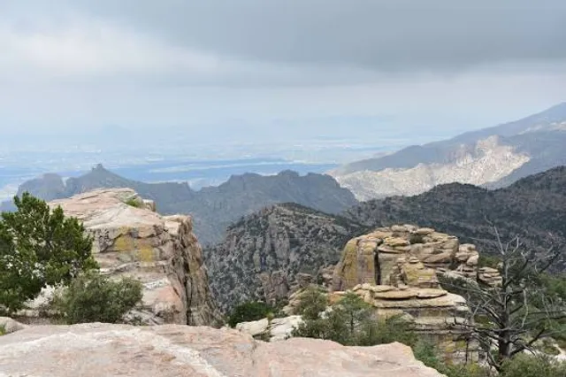 Coronado National Forest