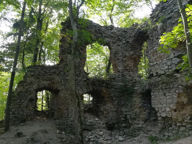 castle ruins Blansek