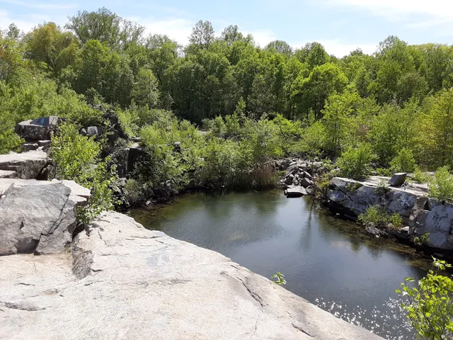 Cranberry Lake Preserve