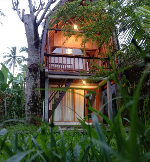 Jungle House - Surf & Stay