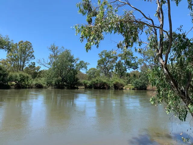 Mungabareena Reserve