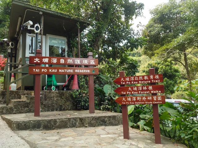 Tai Po Kau Nature Trail
