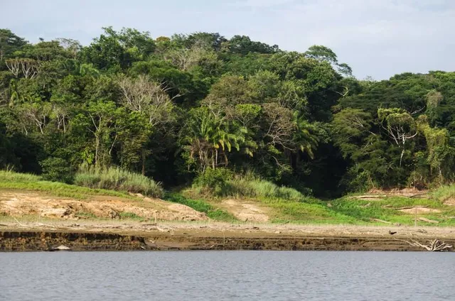 Parque Nacional Chagres