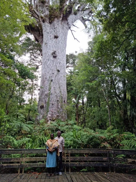 Tane Mahuta