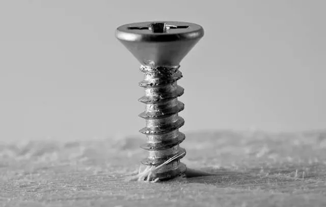 Číčovské mŕtve rameno