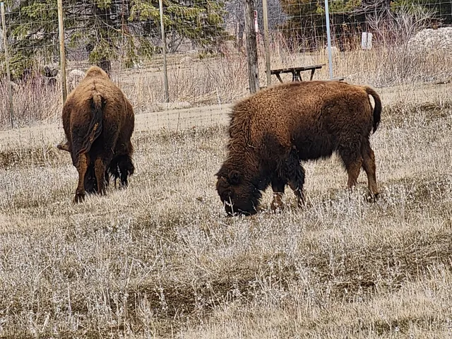 Green Castle Recreation Area