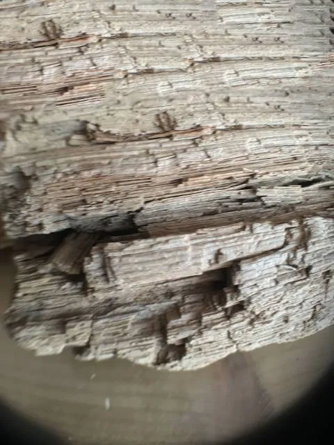 Historical battlefield Morgarten