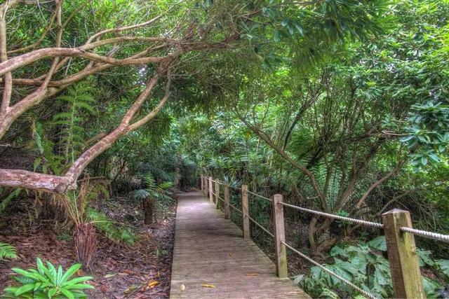 The Lost Gardens of Heligan