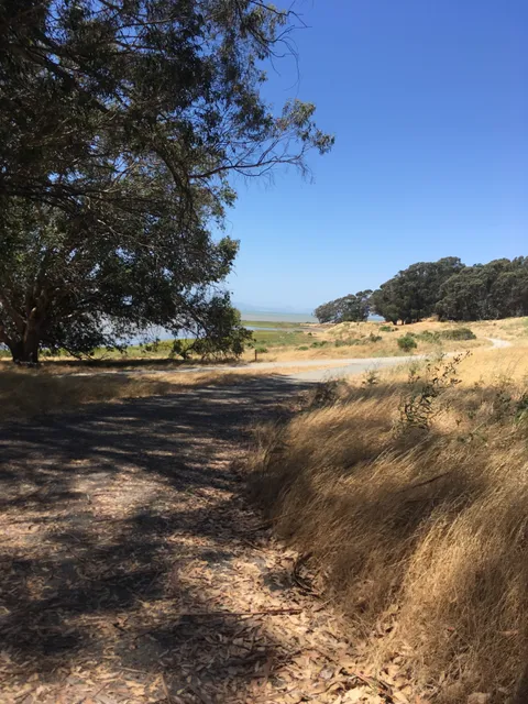 Point Pinole Regional Park - Dotson Family Marsh