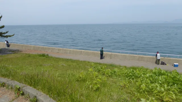 Tsutsumikawa Ryokuchi Park