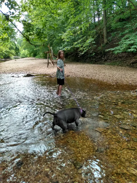 Mastodon State Historic Site Playground