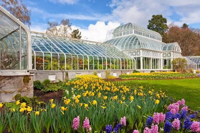 Volunteer Park