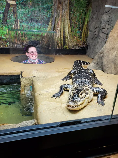 Snake Discovery: A Reptile Experience