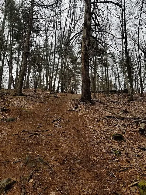 photo-2