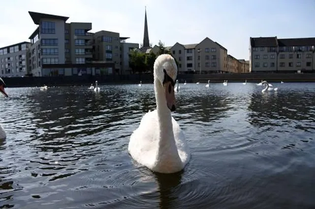 Carlow Town Park and Playground
