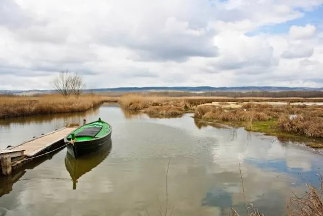 Laguna del Cañizar