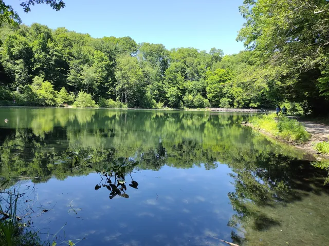 Lily Pond, Mill Creek Park