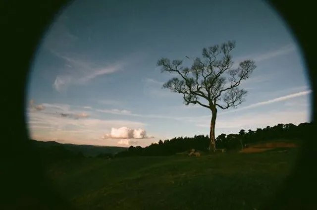 the Rattlesnake Peak