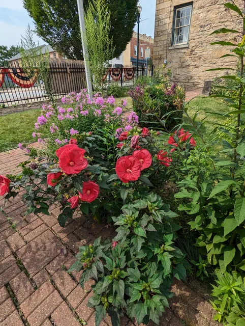 photo-2