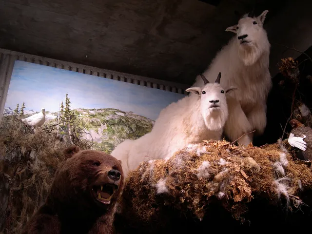 Kitimat Museum & Archives