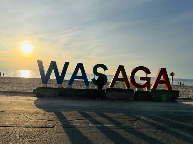 Wasaga Beach Area