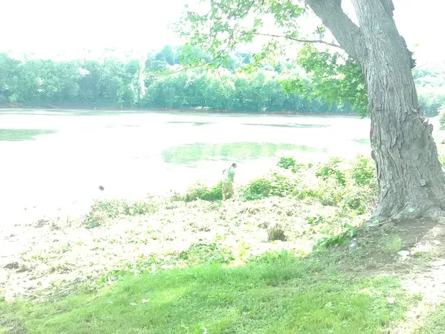 Iron Cowboy Gun Shop