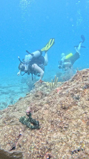 South Florida Diving Headquarters