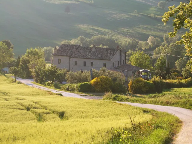 La Casa degli Ulivi - Art Bed & Breakfast