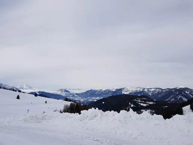 Kachelofenwohnung Pölzleitner