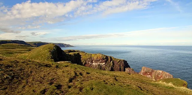 St Abb's Head National Nature Reserve (National Trust for Scotland)