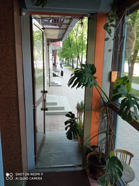 Хинкали /Беседы/ Вино