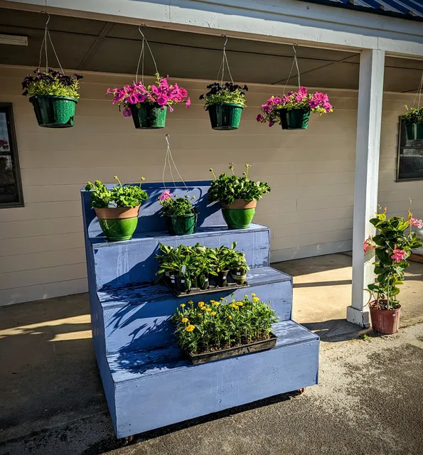 Davenport Harvest Market