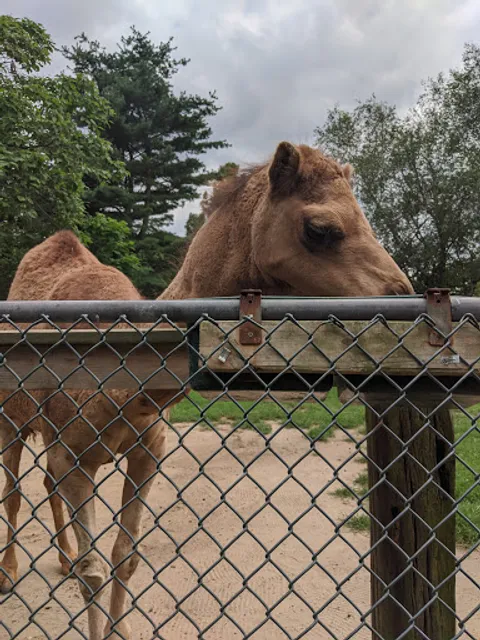Long Island Zoological Society