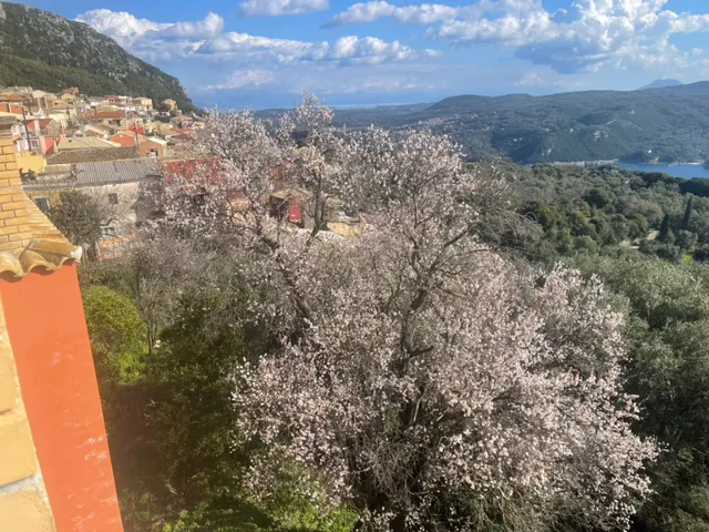 Village House Kalypso