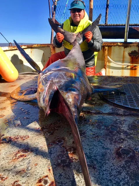 Williams family fish