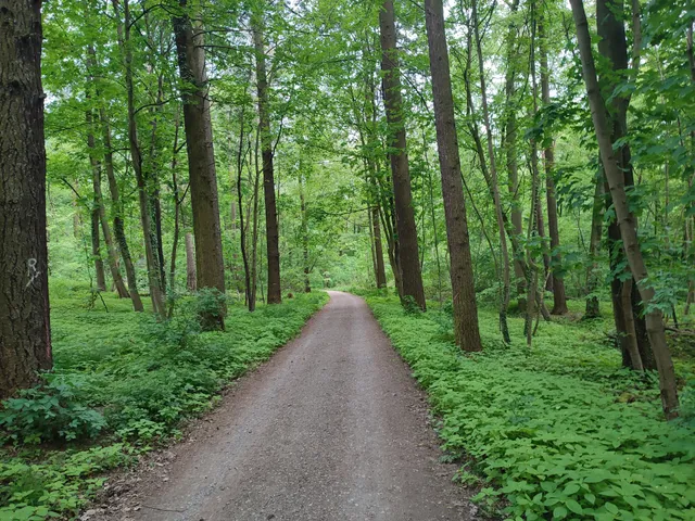 Geo-Naturpark Bergstraße-Odenwald
