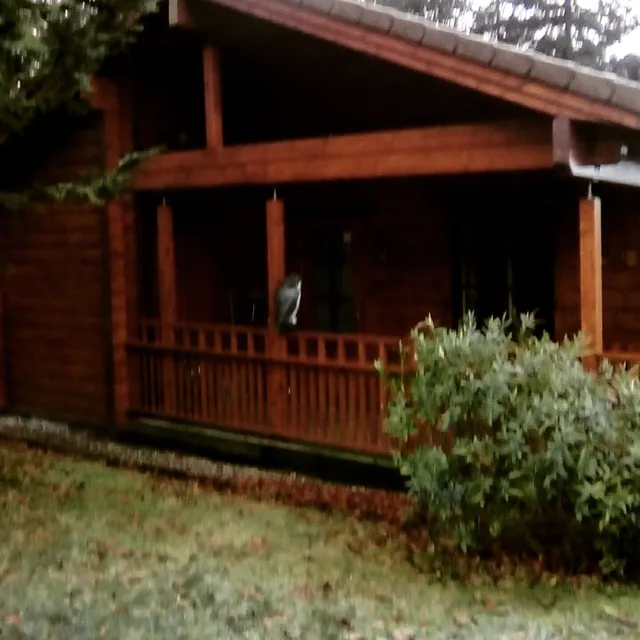 Sycamore Farm Log Cabins