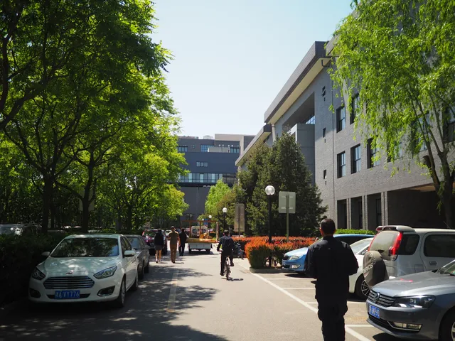 Central Academy of Fine Arts