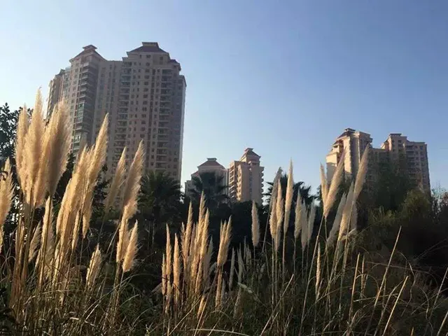 Yanlord Riverside Gardens