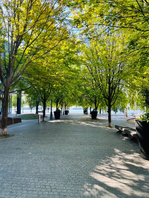 Water's Edge Promenade
