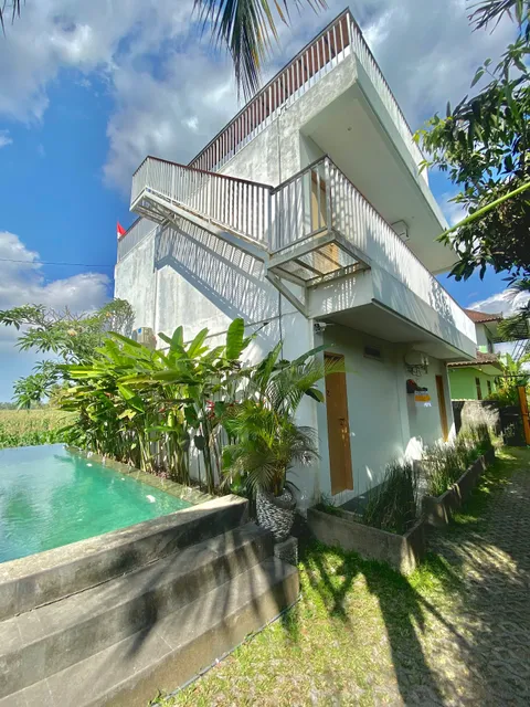 Beluran Panorama Lodge and Activities