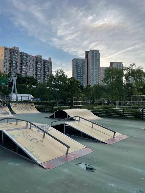 Hangang Ichon Skate Park