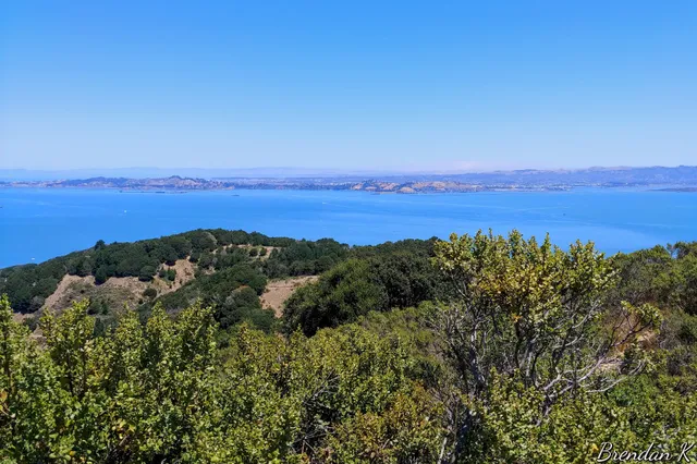 Summit of Mt. Livermore