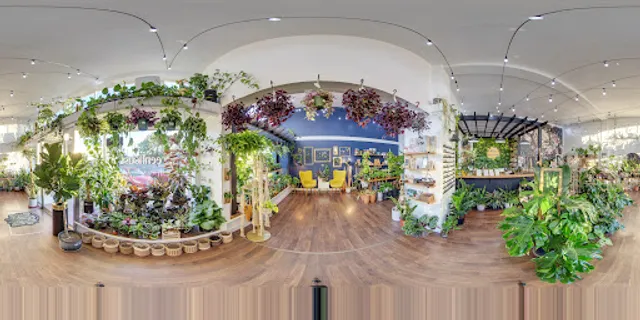 Greenhouse Coffee + Plants