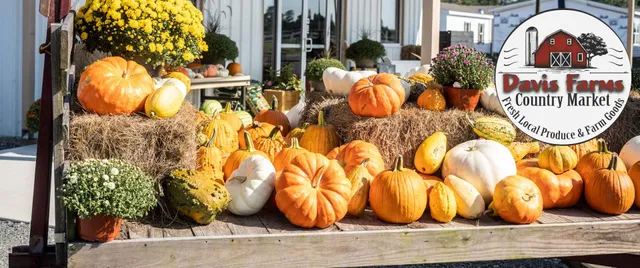 Davis Farms Country Market