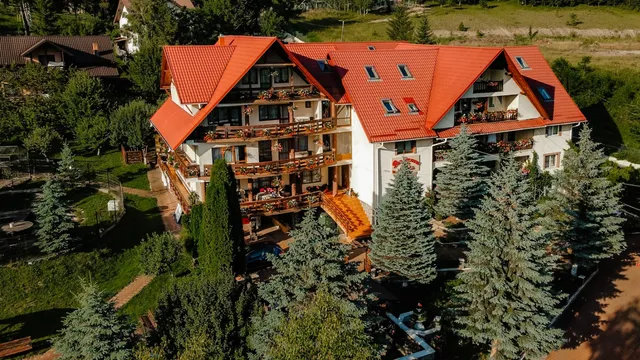 Pensiunea Alpin - Durău