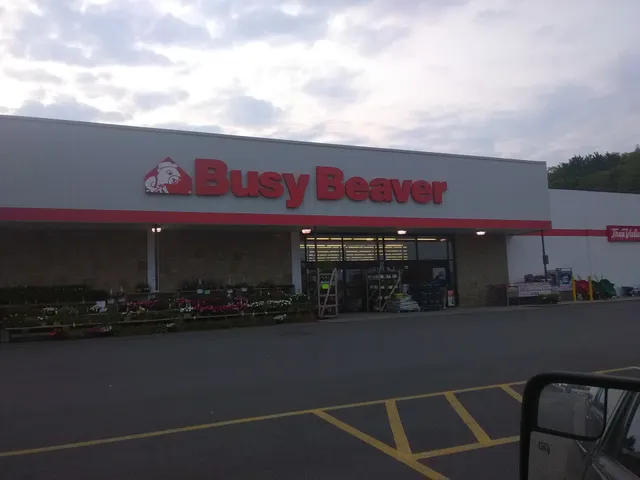 Busy Beaver