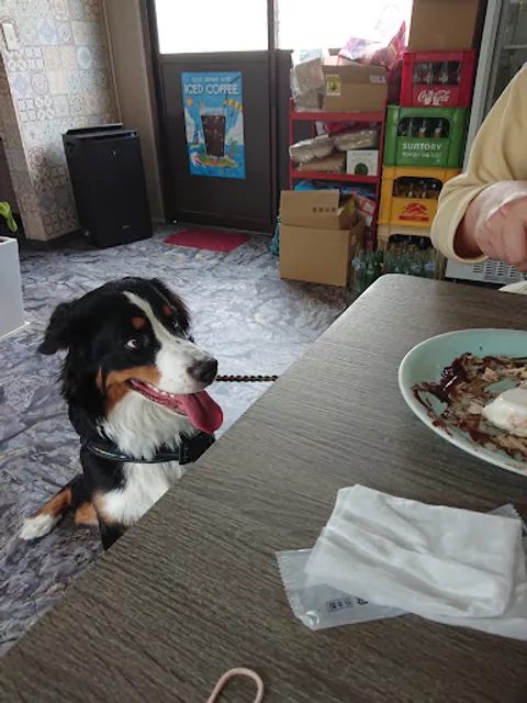 わんはぁとカフェ ドッグカフェ＆ドッグラン