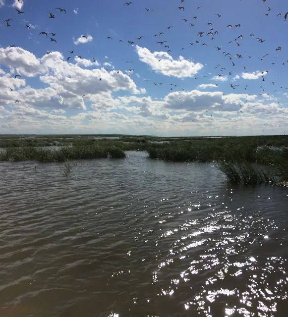Old Wives Lake Nature Area and Interpretive Trails